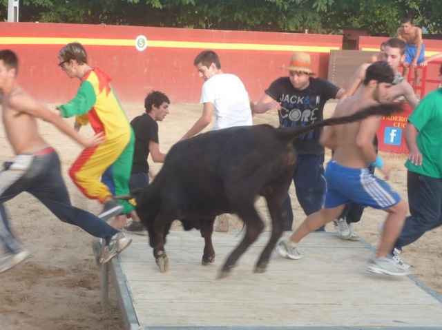  小母牛将参与者扔下平台 